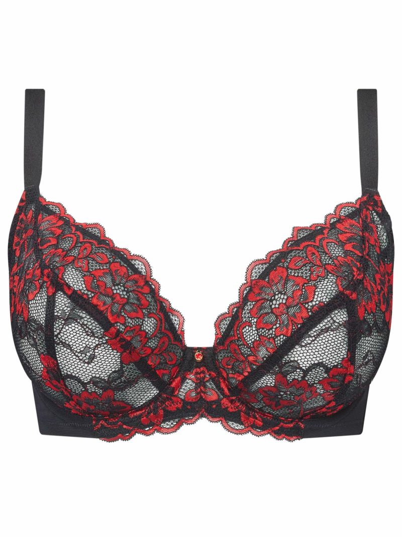 Sexy Lace Planet Fuller Bust Non Padded Plunge Bra Black/Red | Bras Bras Black