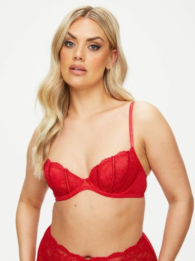 Sexy Lace Planet Non Padded Plunge Bra Red | Everyday Lingerie Bras Bras